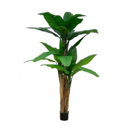 [FZ101122] Pianta di banano 200 x 200 cm con vaso