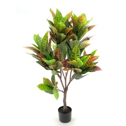 [FZ101124] Pianta di Croton 120 cm x 134 foglie