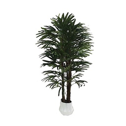 [FZ101131] Pianta fan palm 140 cm con vaso