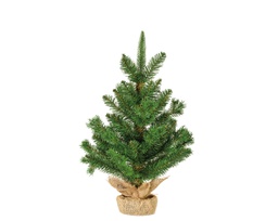 [20184534] Albero da interno verde dia39x60cm