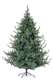 [2020109] Albero germogliato Ø150x210h