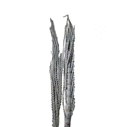 [19922834] Galho buriti 150 cm frosted naturale