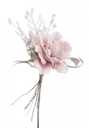 [B0935245] 12x Pick Rosa Ahura Rosa C