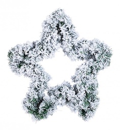 [B0933583] 4x Stella Nantes Innevata H60