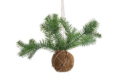 [B0937157] 6x Decorazione Sfera Kokedama C